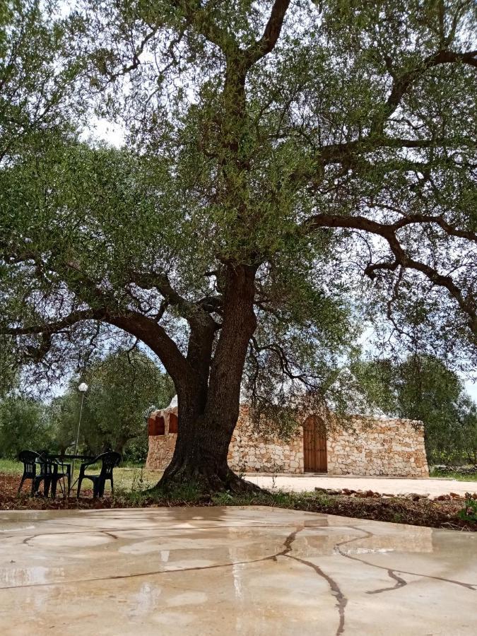 Trulli Monte Madre Villa San Vito dei Normanni Exterior foto